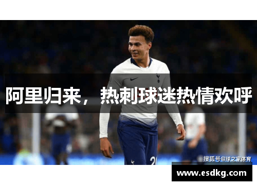 阿里归来，热刺球迷热情欢呼